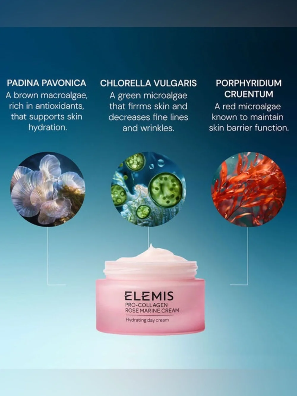 Elemis Pro Collagen Rose Marine Cream Anti Wrinkle Day Cream 50 ml Anti Aging - Picture 6 of 9